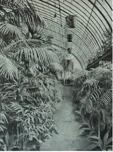 Great Palm House of the Buda Castle