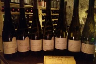 Castle Wine Cellar Budapest - Wine Selection
