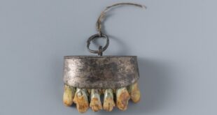 Medieval Talismans at Buda Castle Budapest- A Curious Canine Mystery